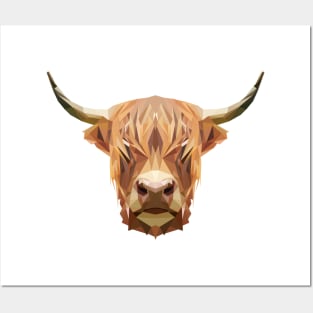 Highland cow Posters and Art